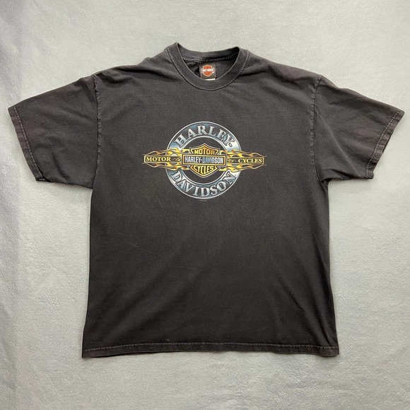 Harley Davidson Men's XL T Shirt Capital City Madison Wi Motorcycles USA - Picture 1 of 9